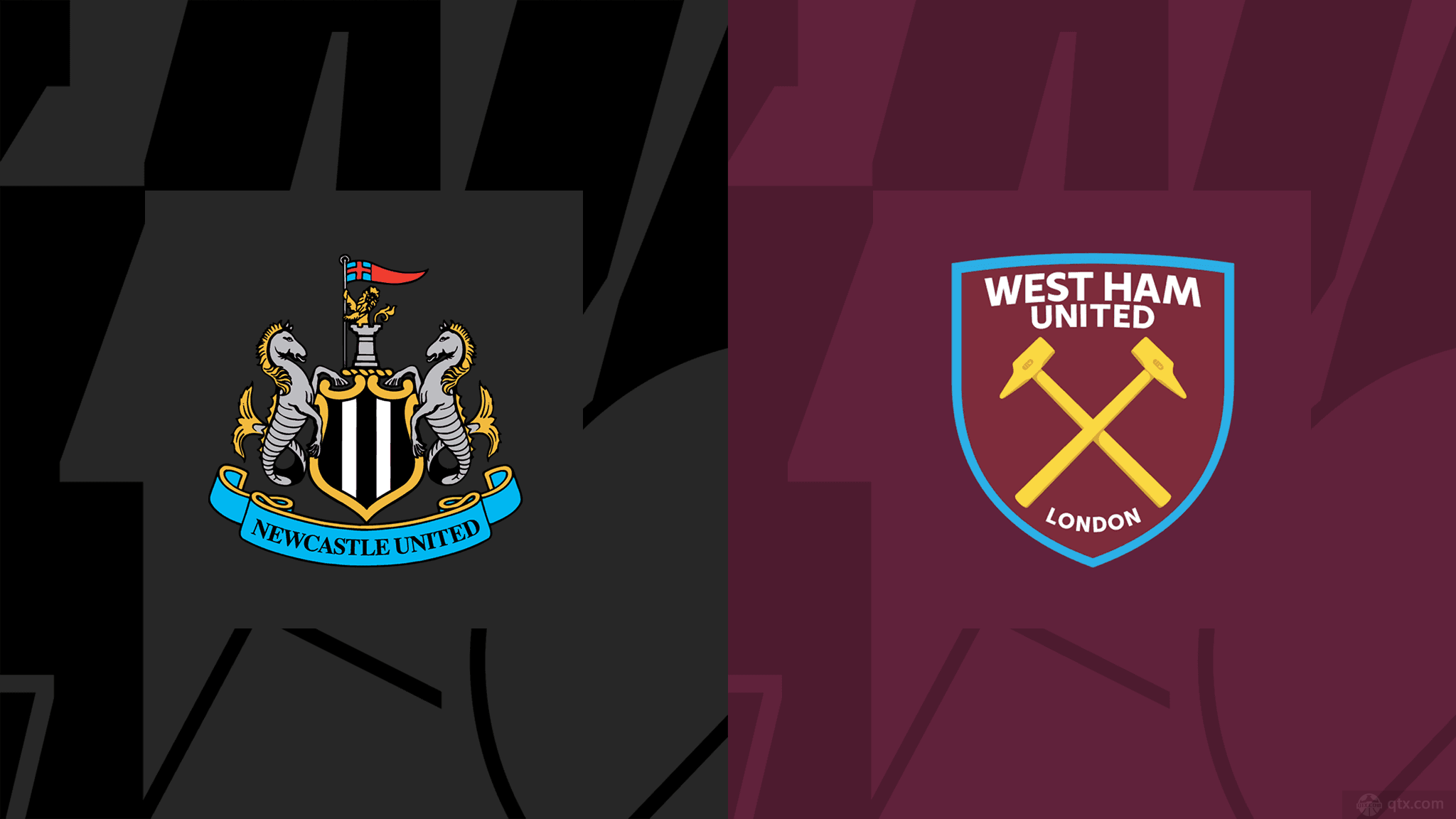 的职业生涯 的职业生涯